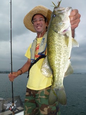 truth news ブログ写真 2012/08/24