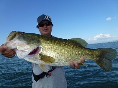 truth news ブログ写真 2012/08/24