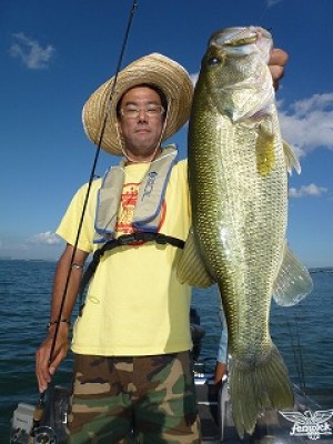 truth news ブログ写真 2012/08/24