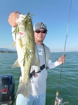 truth news ブログ写真 2012/08/24