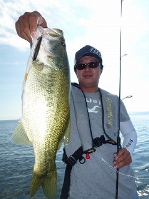 truth news ブログ写真 2012/08/24