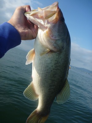 truth news ブログ写真 2012/08/26