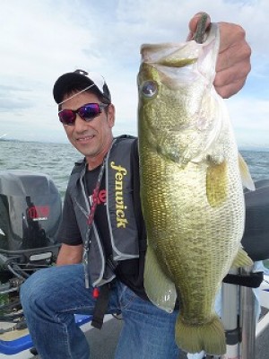 truth news ブログ写真 2012/08/28