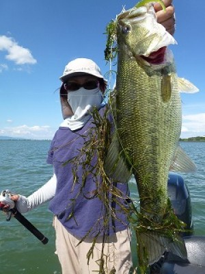 truth news ブログ写真 2012/09/02