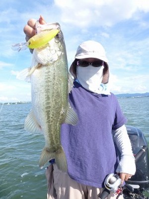 truth news ブログ写真 2012/09/02