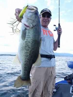 truth news ブログ写真 2012/09/02