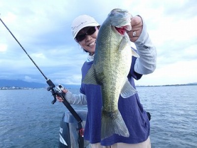 truth news ブログ写真 2012/09/02