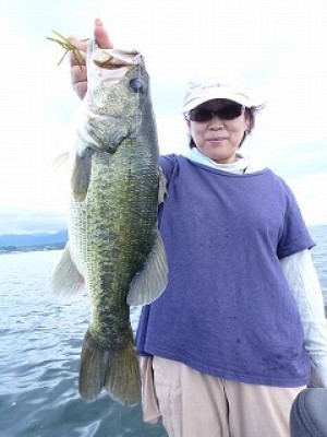 truth news ブログ写真 2012/09/02