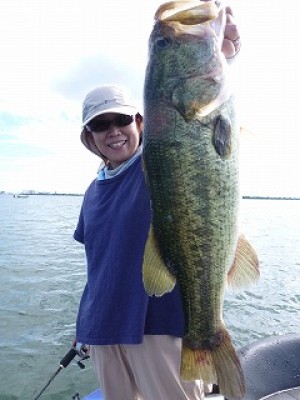 truth news ブログ写真 2012/09/02