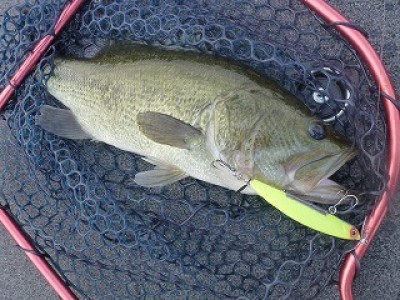 truth news ブログ写真 2012/09/05