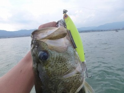 truth news ブログ写真 2012/09/05