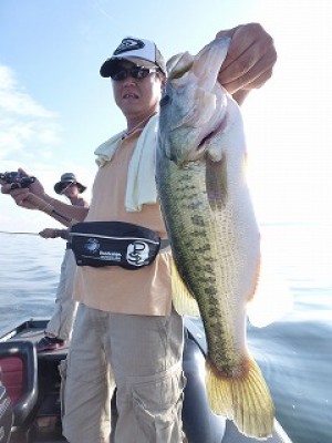 truth news ブログ写真 2012/09/05