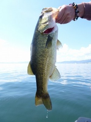 truth news ブログ写真 2012/09/05