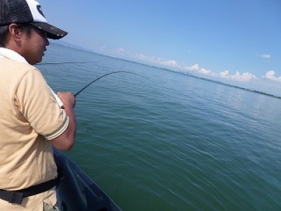 truth news ブログ写真 2012/09/05