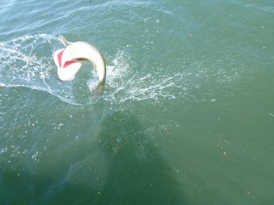 truth news ブログ写真 2012/09/05