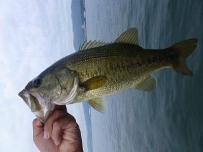 truth news ブログ写真 2012/09/07