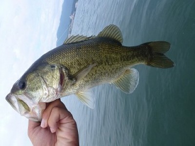 truth news ブログ写真 2012/09/07