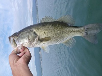 truth news ブログ写真 2012/09/07