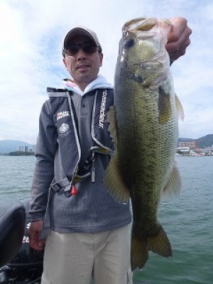 truth news ブログ写真 2012/09/07