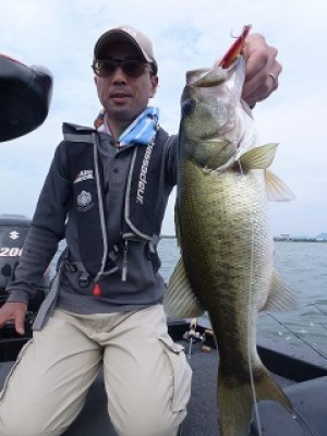 truth news ブログ写真 2012/09/07