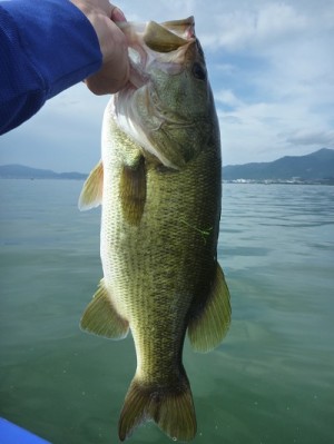 truth news ブログ写真 2012/09/08