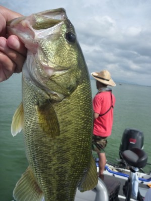 truth news ブログ写真 2012/09/08