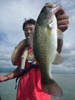 truth news ブログ写真 2012/09/08