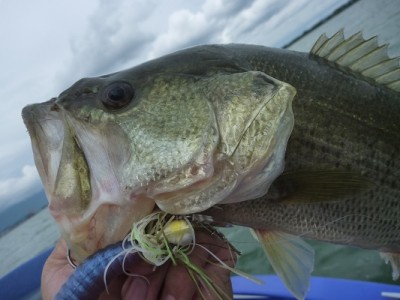 truth news ブログ写真 2012/09/08