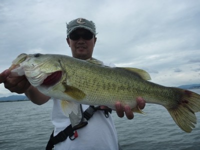 truth news ブログ写真 2012/09/08