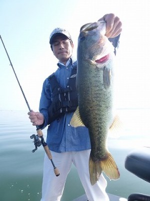 truth news ブログ写真 2012/09/09