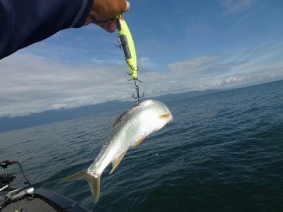 truth news ブログ写真 2012/09/11