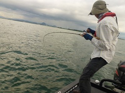 truth news ブログ写真 2012/09/11