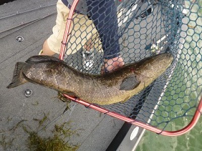 truth news ブログ写真 2012/09/11