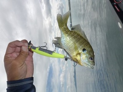 truth news ブログ写真 2012/09/11