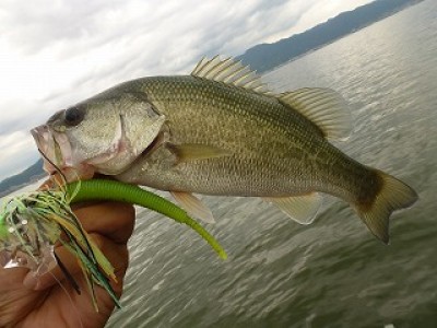 truth news ブログ写真 2012/09/11