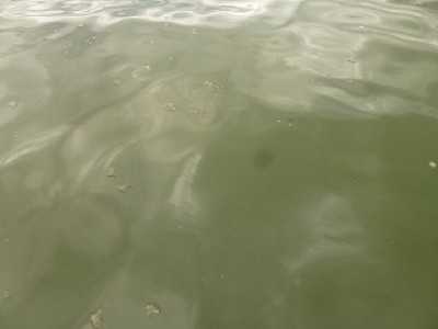 truth news ブログ写真 2012/09/11