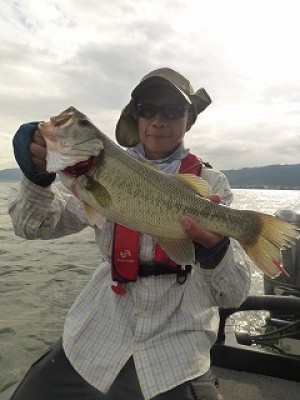 truth news ブログ写真 2012/09/11