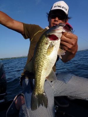 truth news ブログ写真 2012/09/12