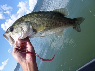 truth news ブログ写真 2012/09/12