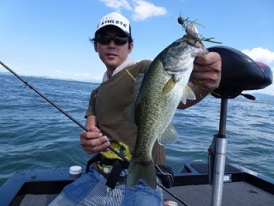 truth news ブログ写真 2012/09/12