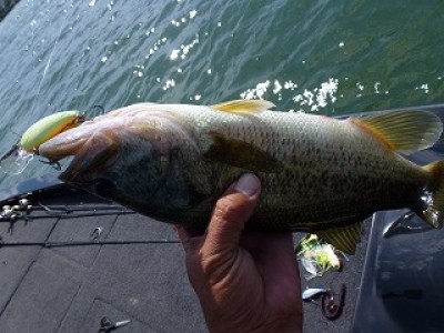 truth news ブログ写真 2012/09/12