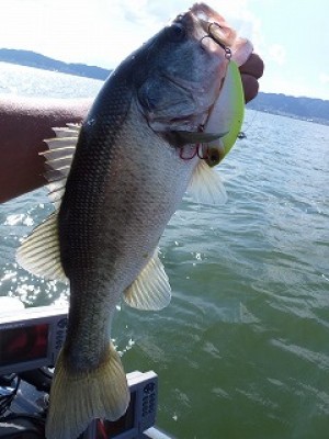 truth news ブログ写真 2012/09/12