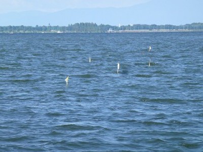 truth news ブログ写真 2012/09/12