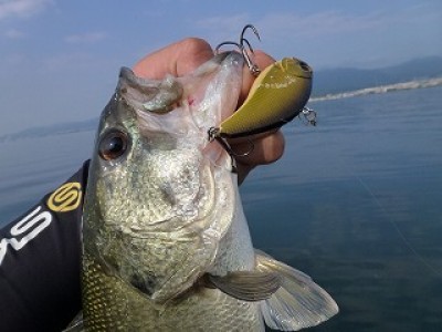 truth news ブログ写真 2012/09/14