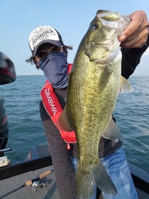 truth news ブログ写真 2012/09/14