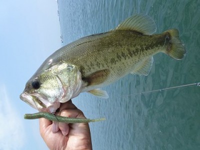 truth news ブログ写真 2012/09/14