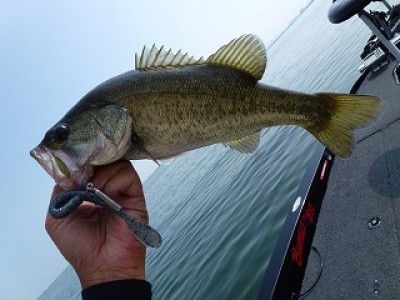 truth news ブログ写真 2012/09/14