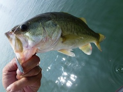 truth news ブログ写真 2012/09/14