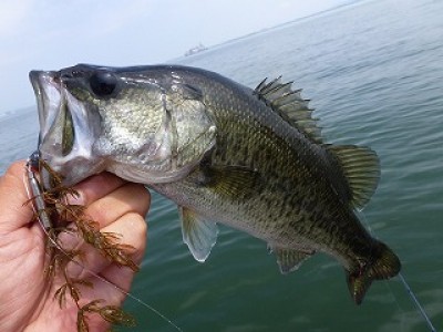 truth news ブログ写真 2012/09/14