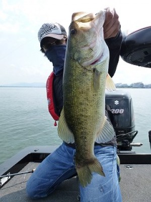 truth news ブログ写真 2012/09/14